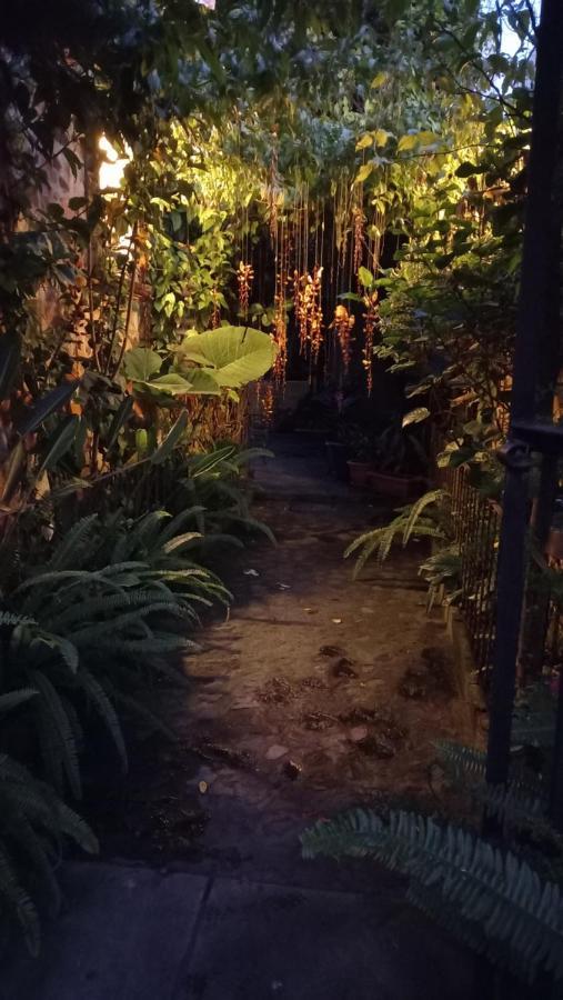 Casa Quetzalli, La Recoleccion Antigua ภายนอก รูปภาพ