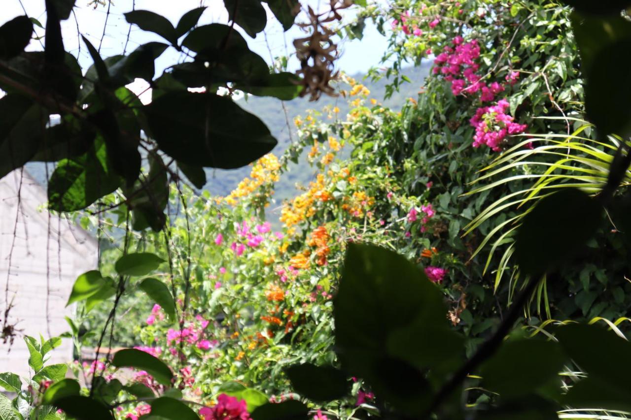 Casa Quetzalli, La Recoleccion Antigua ภายนอก รูปภาพ